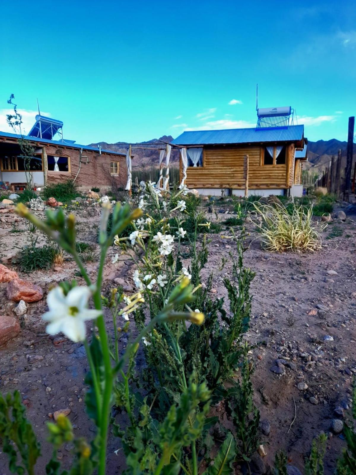 Paramitas De Montana Apartment